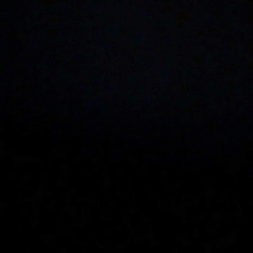 Meet your Posher, Corbin